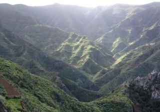 特内里费岛绿色山谷